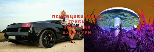 бошки Алексин