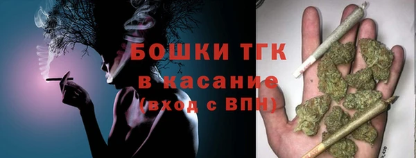 бошки Алексин