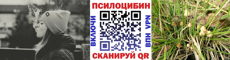 Псилоцибиновые грибы прущие грибы  Оса 